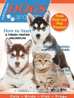 Australian Dogs & Pets